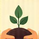 Main tenant une pousse verte symbolisant le sourcing local